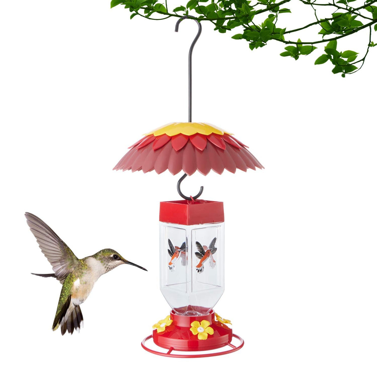 Skaithee bright colors attract hummingbirds to your feeder.