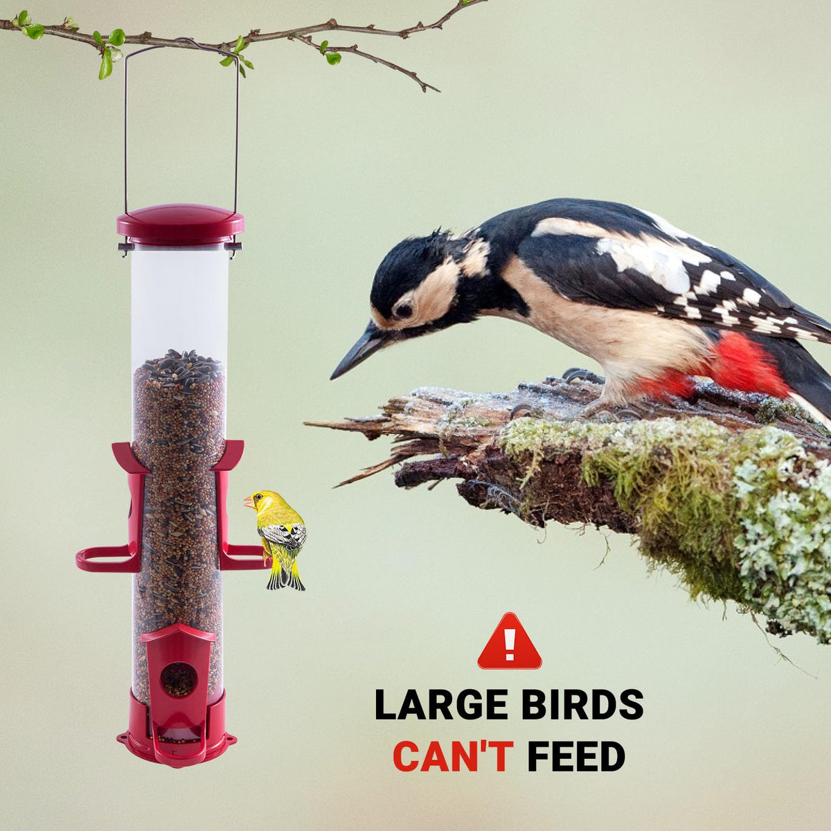 Skaithee easy-fill and clean feeder for hassle-free maintenance
