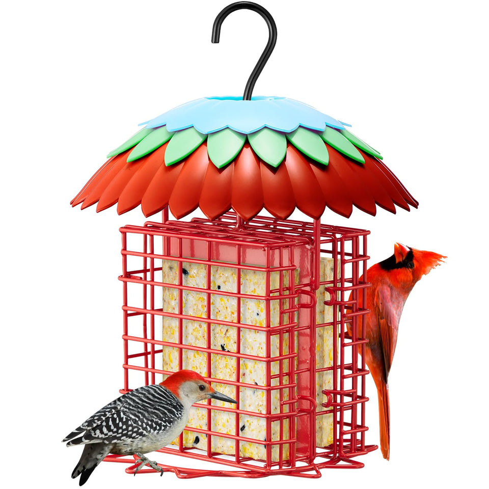 Skaithee Suet Feeder Double front view with dual ports inviting more birds.