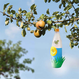 SKAbod Wasp Trap provides broad garden coverage when hung