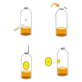 SKAbod Wasp Trap sturdy material for long-lasting use