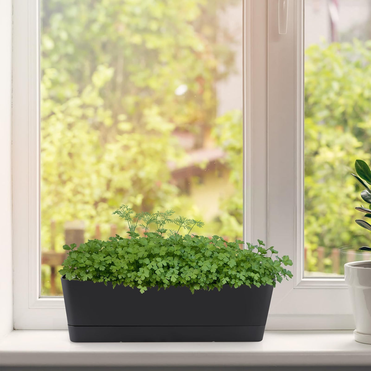 Skelang black rectangular pot highlighting clean lines and modern style.