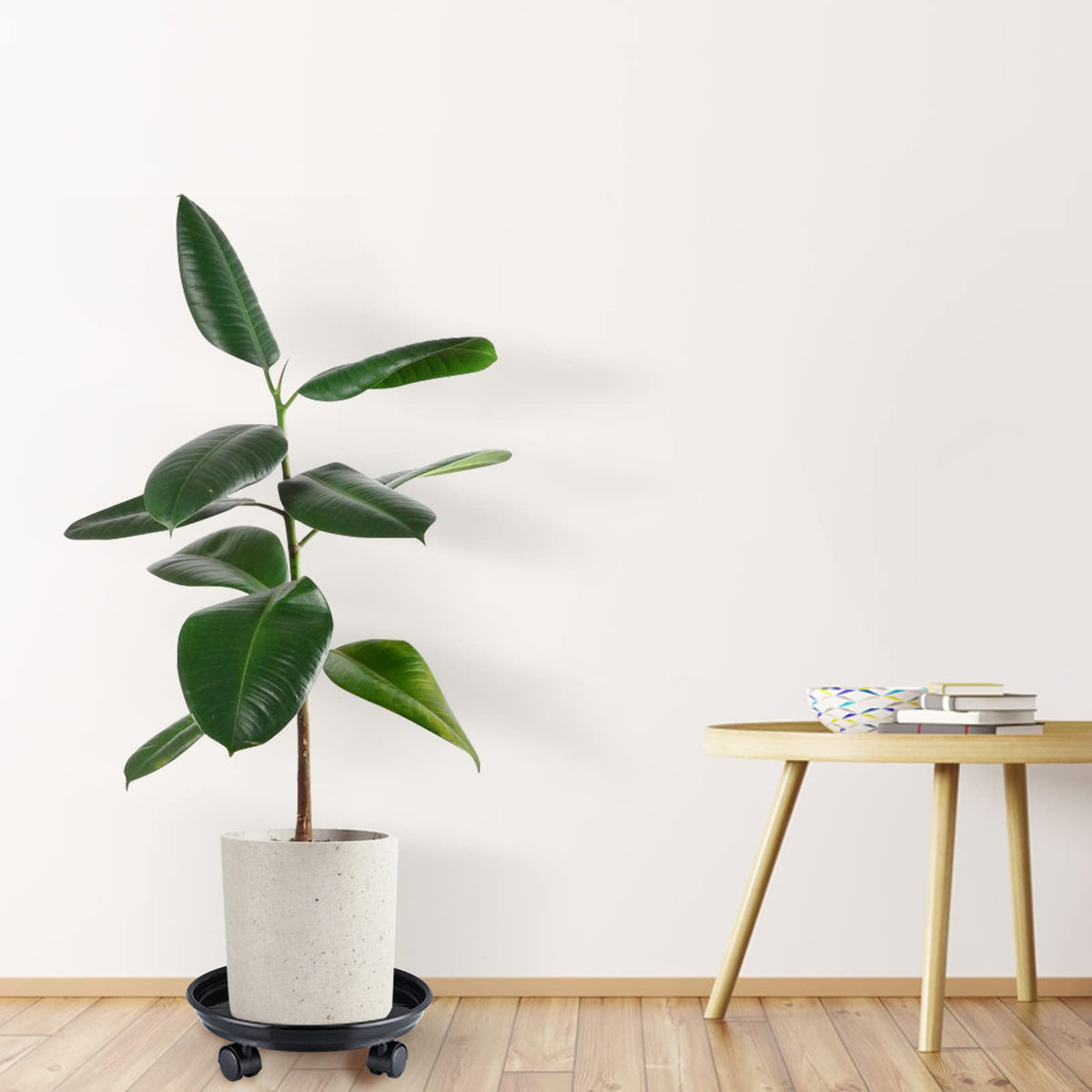 Skelang heavy-duty plant stand roller supports patio, deck, and balcony setups.
