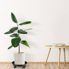 Skelang heavy-duty plant stand roller supports patio, deck, and balcony setups.