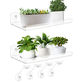 SKEWO 15-inch acrylic window box side view for space-saving plant display.