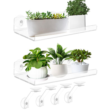 SKEWO 15-inch acrylic window box side view for space-saving plant display.