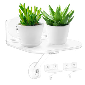 SKEWO 2-pack acrylic window shelves with suction cups offer sturdy plant display.
