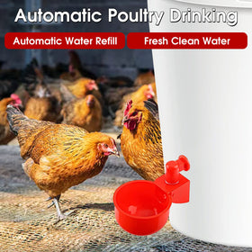 SKWIRRLE poultry waterer installation showing easy setup.