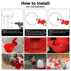 SKWIRRLE water cup works for chicken, duck, quail and more.