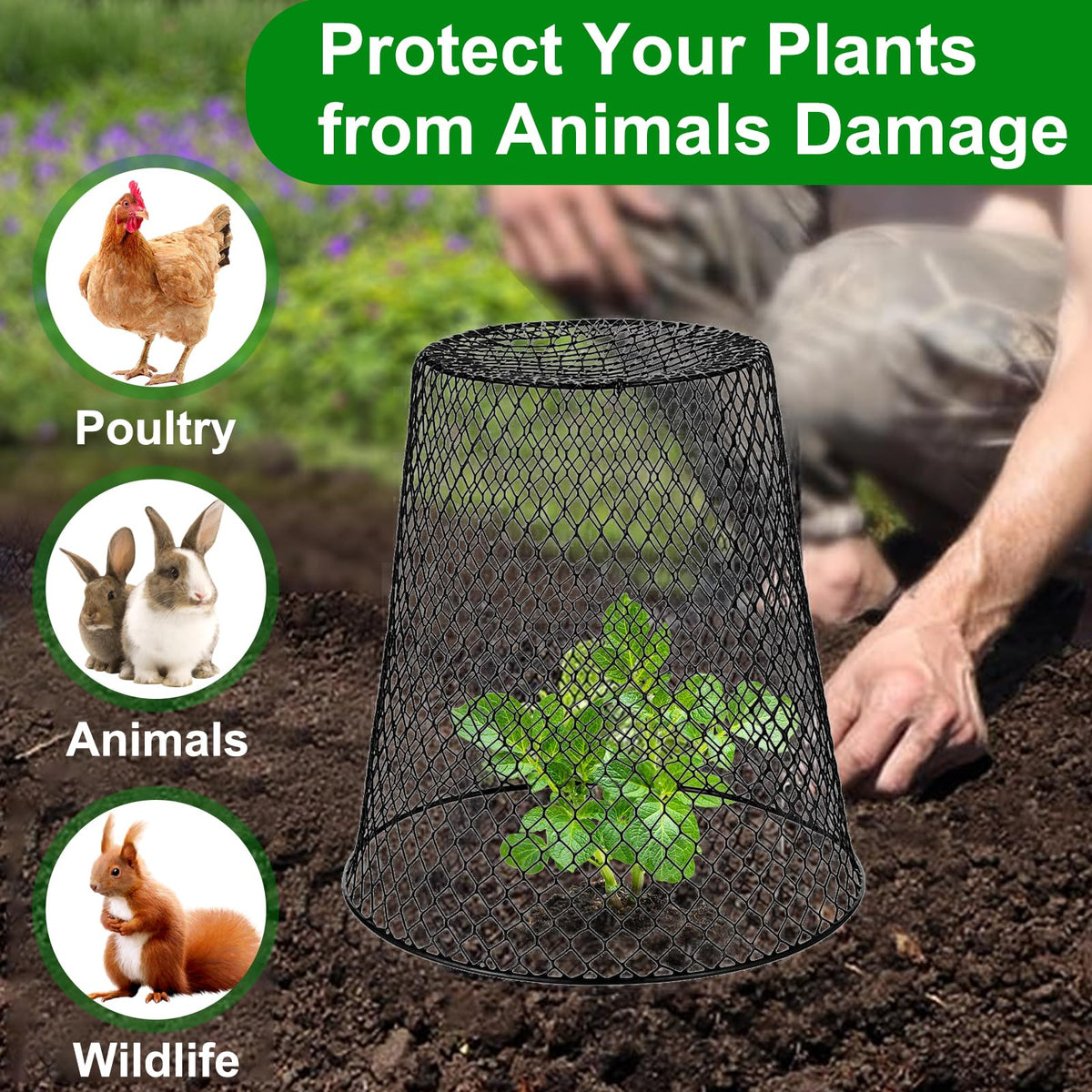 SKWIRRLE animal-protection cloche guards against rabbits, squirrels, and birds.