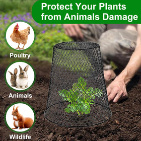 SKWIRRLE animal-protection cloche guards against rabbits, squirrels, and birds.
