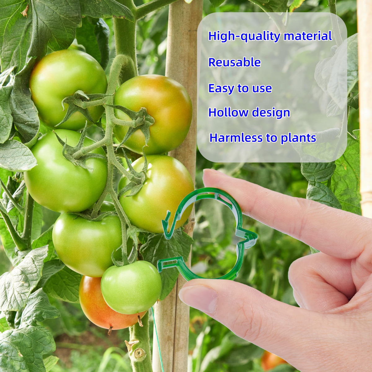 SLAMZO multi-connectable clip grips varying stem thicknesses for healthy growth
