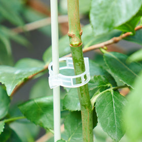 SLAMZO versatile clip for tomatoes, cucumbers, peppers, and climbing flowers