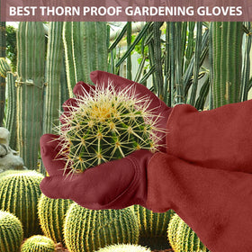 SLARMOR elbow-length gauntlet coverage protects forearms during pruning
