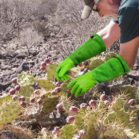 SLARMOR rose pruning gloves keep hands protected while tending roses.