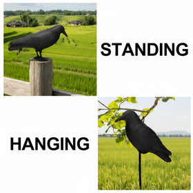 Sliner crow features realistic feather texture for authentic outdoor scenes.