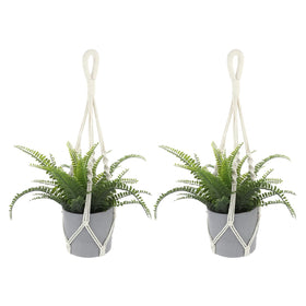 Sliverdew macrame indoor hanger close-up in cotton rope for chic plant display