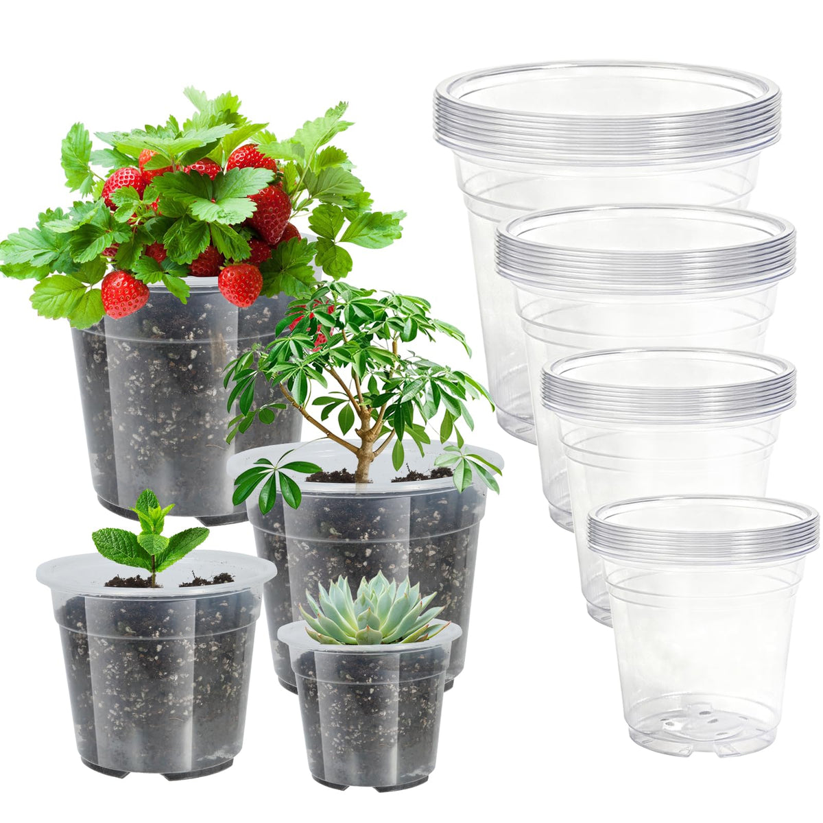 SLMKHHU clear nursery pot 4-inch with drainage holes supports seedling growth
