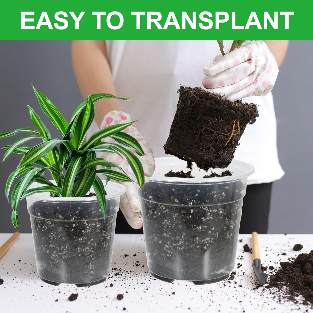 SLMKHHU clear nursery pot 6-inch provides moisture visibility for root health