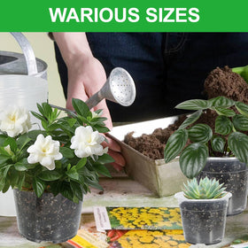 SLMKHHU transparent-seed-starter pot assists moisture monitoring