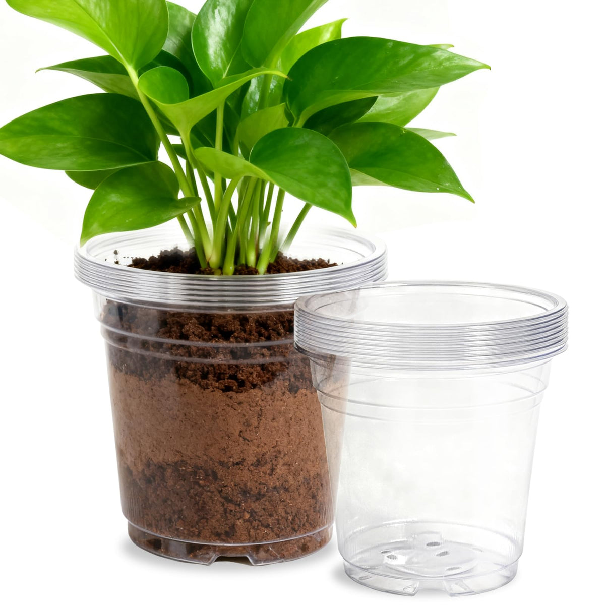 SLMKHHU 8inch clear nursery pot with drainage holes for healthy root airflow.