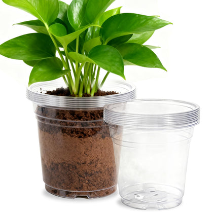 SLMKHHU 8inch clear nursery pot with drainage holes for healthy root airflow.