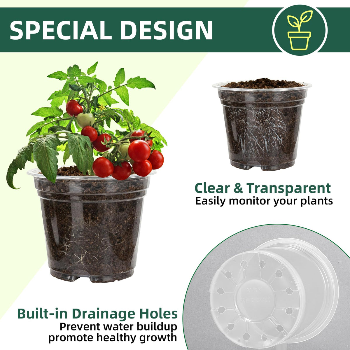 SLMKHHU Seedling-start clear pot ideal for early transplanting and observation.