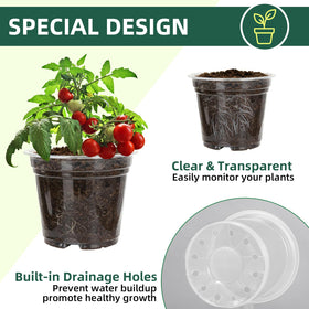 SLMKHHU Seedling-start clear pot ideal for early transplanting and observation.