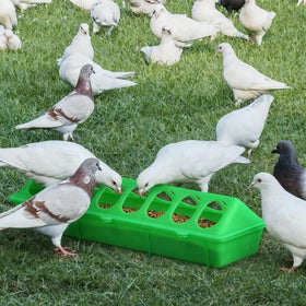 SLWHYZL compact 30 cm feeder fits in tight coop spaces