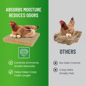 Small Pet Select nesting pad cushions hens, encouraging comfortable egg laying in secure nesting boxes.