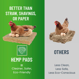 Small Pet Select extra thick cushions elevate nesting box comfort during egg-laying seasons.