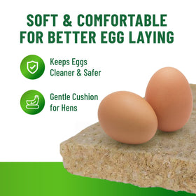 Small Pet Select eco-friendly hemp liner supports clean coops with natural, biodegradable nesting box liners.