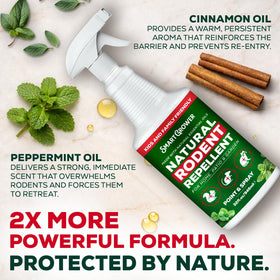 Smart Grower peppermint spray around entry points creates a minty barrier near doors