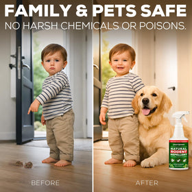 Smart Grower peppermint spray used in a kitchen for indoor rodent protection