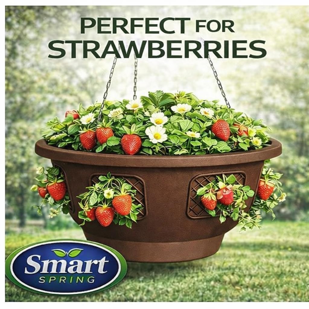 Smart Spring Ultimate Hanging Baskets herbs thrive in elevated garden spaces.