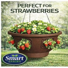 Smart Spring Ultimate Hanging Baskets herbs thrive in elevated garden spaces.