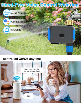 Voice control icon with Alexa/Google Assistant compatibility