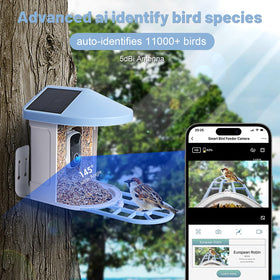 SMBDFOD infrared night vision camera captures night birds clearly