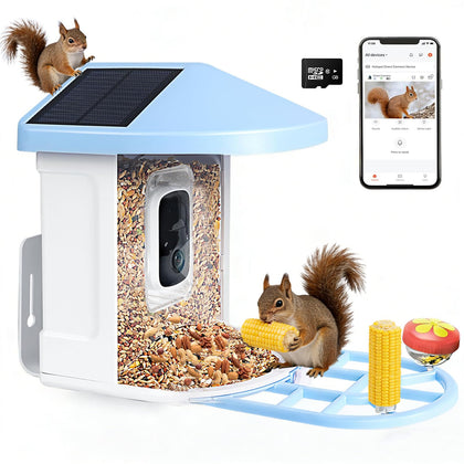 SMBDFOD squirrel feeder camera in daylight captures detailed visits