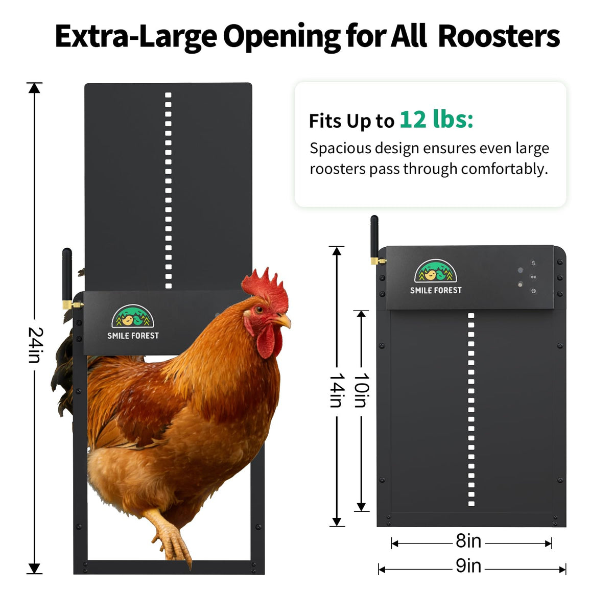 SMILE FOREST Sunrise Sunset timer icon for automatic door operation