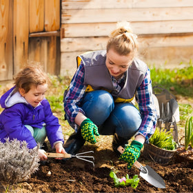 Smoothwind rust-proof tools stay sharp and reliable through transplanting and weeding