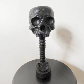 Smowfes Gothic Skull Planter in bathroom display, eerie decor accent