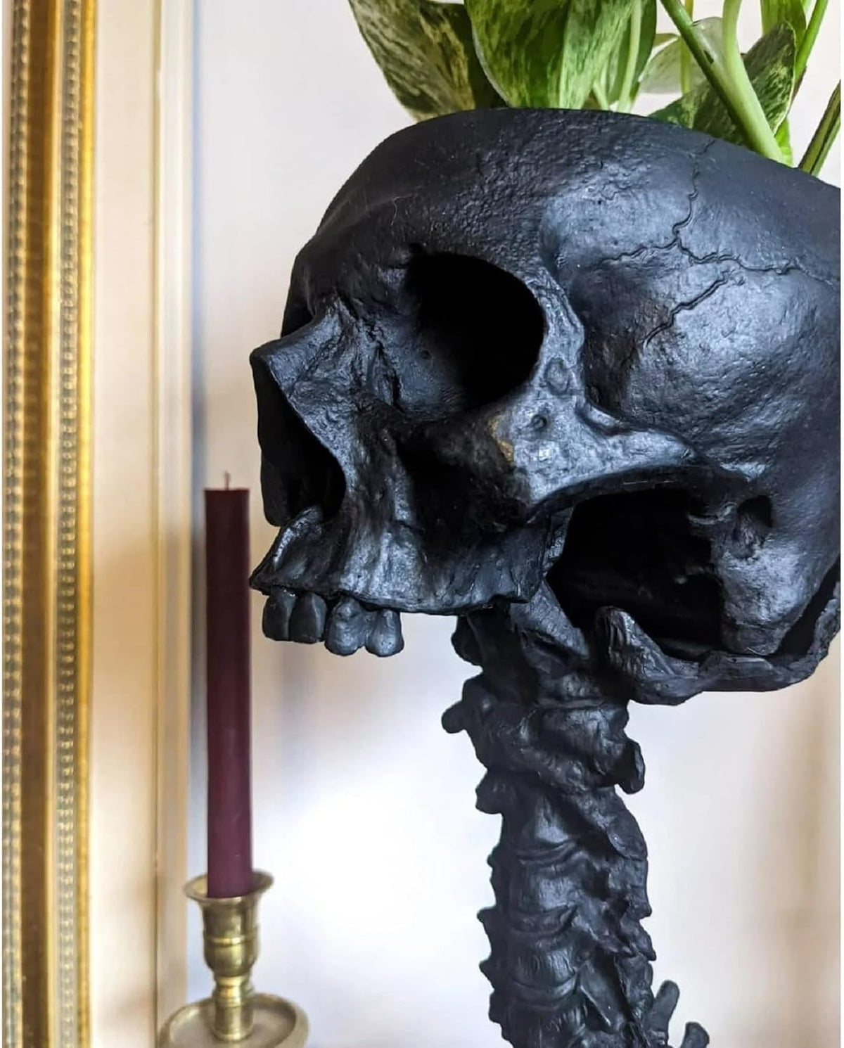 Smowfes Gothic Skull Planter closeup spine details, resin texture
