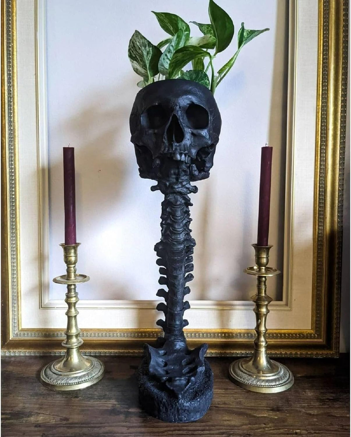 Smowfes Gothic Skull Planter dramatic angle with moody lighting