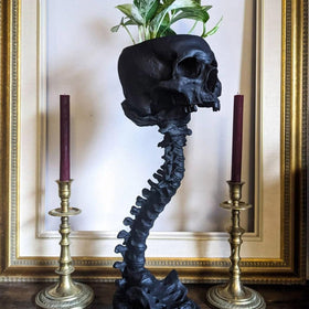 Smowfes Gothic Skull Planter front view for indoor plants, bold centerpiece