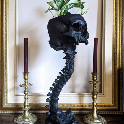 Smowfes Gothic Skull Planter front view for indoor plants, bold centerpiece