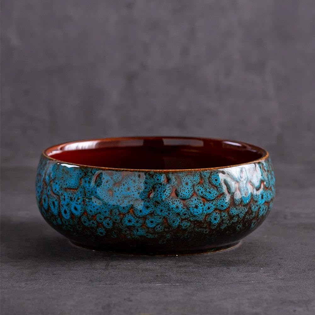 Smowfes Lotus Bowl Planter showing an indoor water garden setup for aquatic plants.