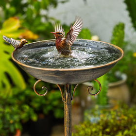 SMQLJXC Diam bird bath base shows heavy cast iron stability for windy outdoors.