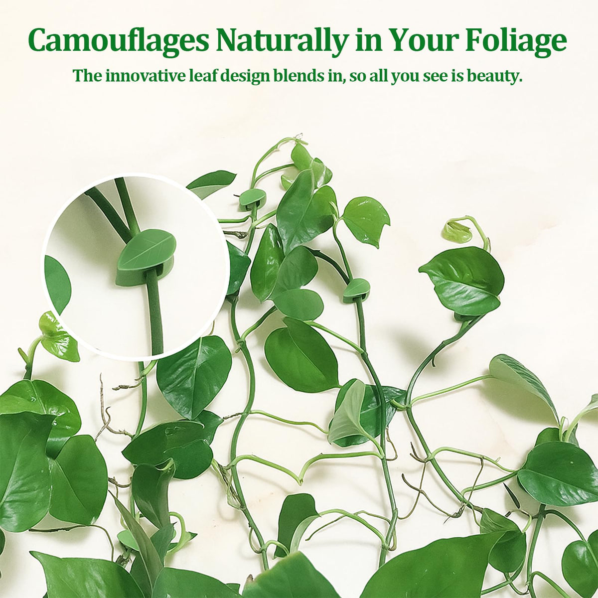 smrtcol vine-guidance clip in use directing plant growth