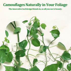 smrtcol vine-guidance clip in use directing plant growth